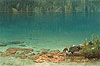比斯塔特 Albert Bierstadt