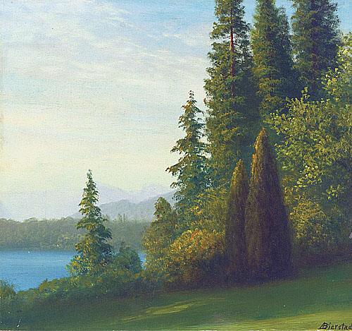 樹木與湖泊景觀 Landscape with trees and lake
