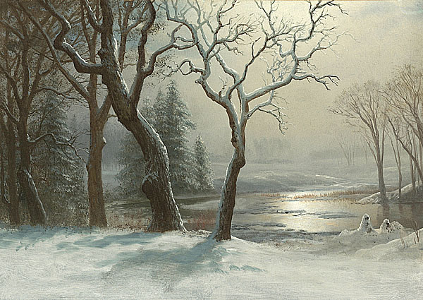 冬季的約塞米蒂國家公園 Winter in Yosemite