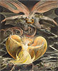 布雷克 William Blake