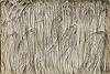 勃糾尼 Umberto Boccioni