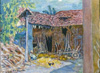 波那爾 Pierre Bonnard