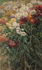 卡玉伯特 Gustave Caillebotte