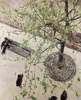 卡玉伯特 Gustave Caillebotte