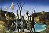 達利 Salvador Dali