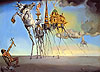 達利 Salvador Dali