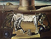 達利 Salvador Dali