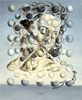 達利 Salvador Dali