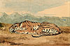 德拉克漥 Eugene Delacroix
