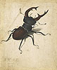 杜勒 Albrecht Durer