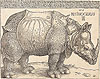 杜勒 Albrecht Durer