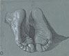 杜勒 Albrecht Durer