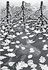 艾雪 M. C. Escher