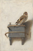 卡爾．法布里蒂烏斯 Carel Fabritius