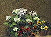方汀 Henri Fantin Latour