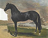 傑利柯 Theodore Gericault