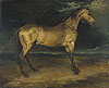 傑利柯 Theodore Gericault