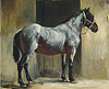 傑利柯 Theodore Gericault