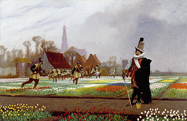 愚蠢鬱金香 The Tulip Folly