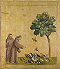 喬托 Giotto di Bondone