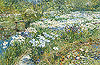 哈山姆 Childe Hassam