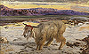 漢特 William Holman Hunt