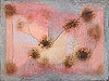 克利 Paul Klee