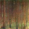 克林姆 Gustav Klimt