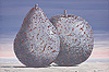 瑪格利特 Rene Magritte