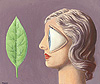 瑪格利特 Rene Magritte