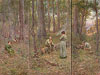 弗雷德里克．麥卡賓 Frederick McCubbin