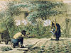 米勒 Jean Francois Millet