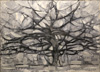 蒙得里安 Piet Mondrian