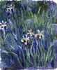 莫內 Claude Monet