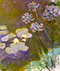 莫內 Claude Monet