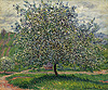莫內 Claude Monet