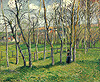 畢莎羅 Camille Pissarro