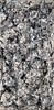 波洛克 Jackson Pollock