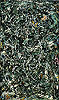 波洛克 Jackson Pollock