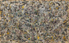 波洛克 Jackson Pollock