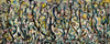 波洛克 Jackson Pollock