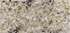 波洛克 Jackson Pollock