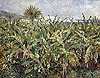 雷諾瓦 Pierre Auguste Renoir