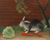 盧梭 Henri Rousseau