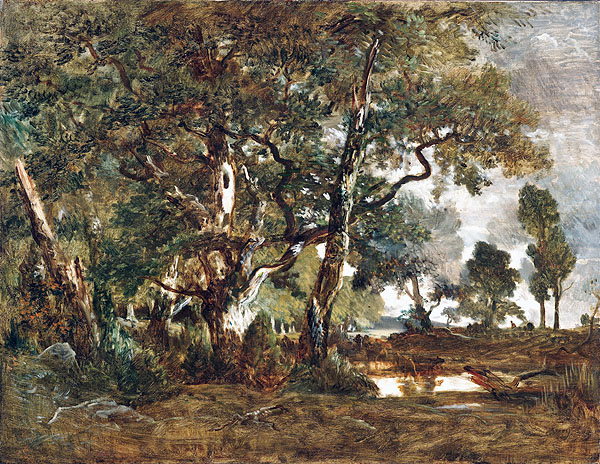 楓丹白露森林 Forest of Fontainebleau, Cluster of Tall Trees Overlooking the Plain of Clair-Bois at the Edge of Bas-Breau