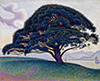 席涅克 Paul Signac