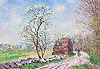 希斯里 Alfred Sisley