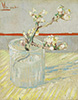 梵谷 Vincent Van Gogh