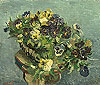 梵谷 Vincent Van Gogh