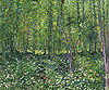 梵谷 Vincent Van Gogh